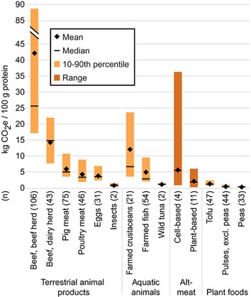 A43 inside2 A43 inside2