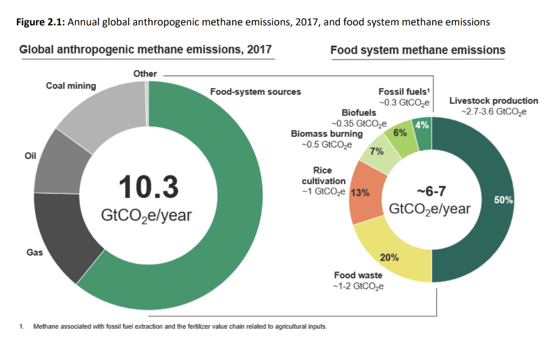  Annual global anthropogenic methane emissions, 2017, and food system methane emissions