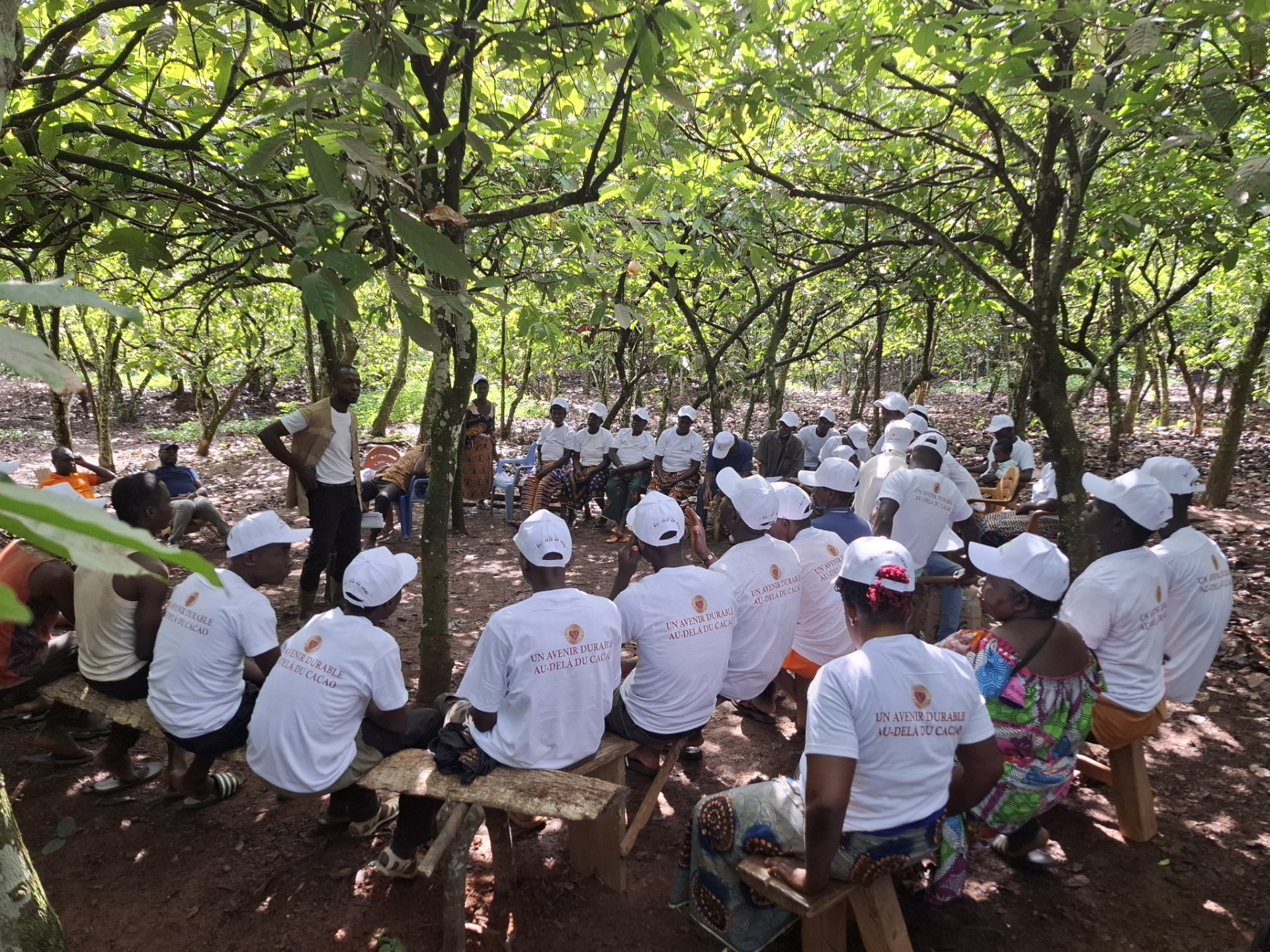 CS332 Figure 3 - Farmer training in Cote d'Ivoire