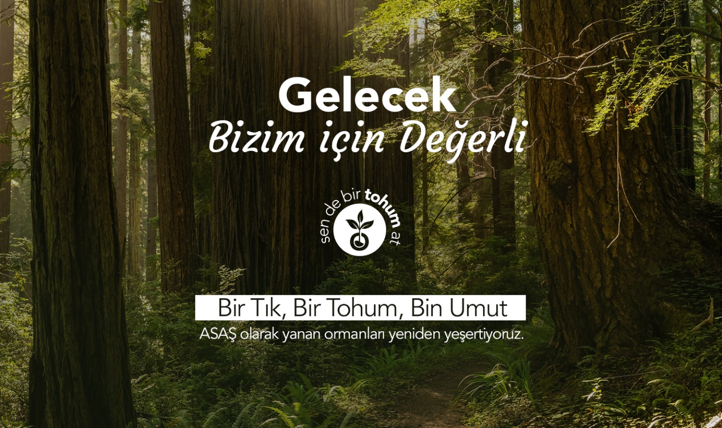 Campaign identity of the Bir Tik, Bir Tohum, Bin Umut digital sowing programme