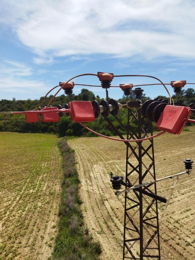 Overhead line pole with protective insulation installed as part of the BioGrid initiative.