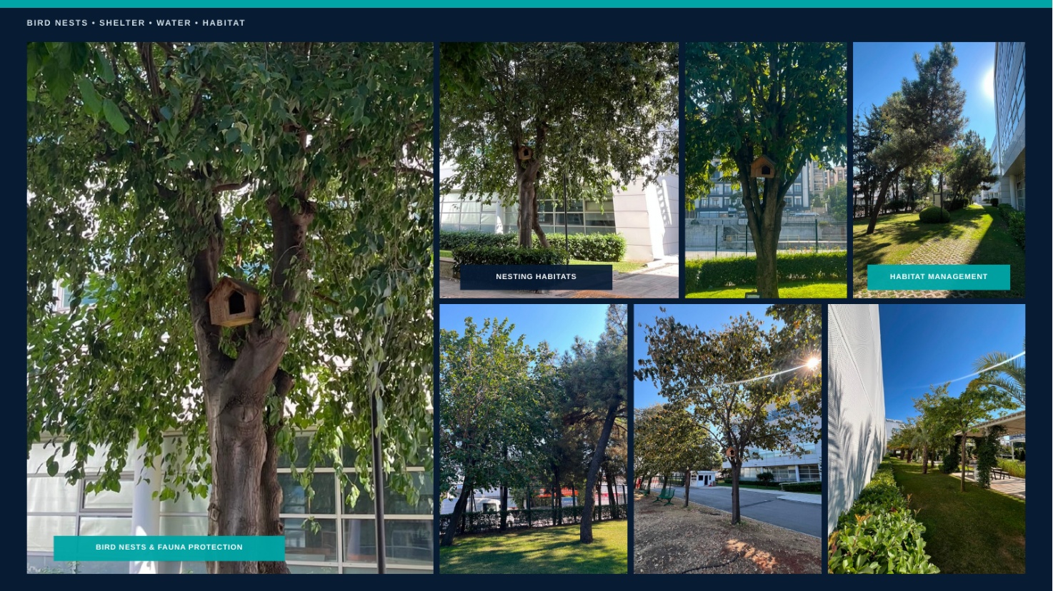 Fauna measures on the campuses: bird nesting boxes, shelters and habitat areas maintained as part of routine landscape management.