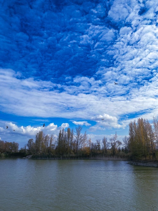 The wetland formed in the worked-out quarry inside the Eskisehir plant site, now monitored as habitat under the biodiversity programme