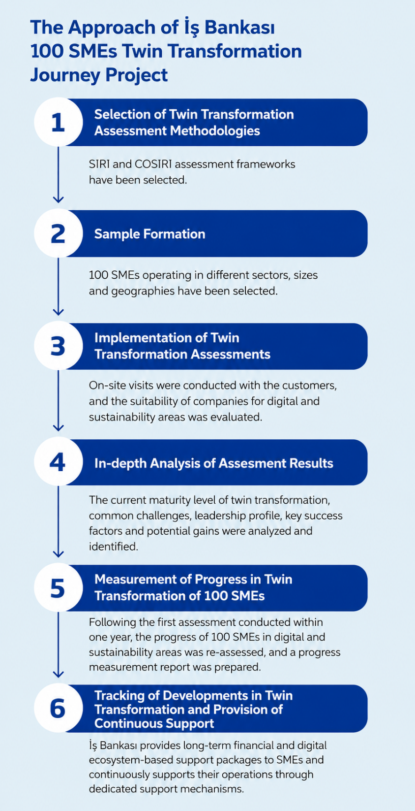 The six-step approach of the İş Bankası 100 SMEs Twin Transformation Journey Project