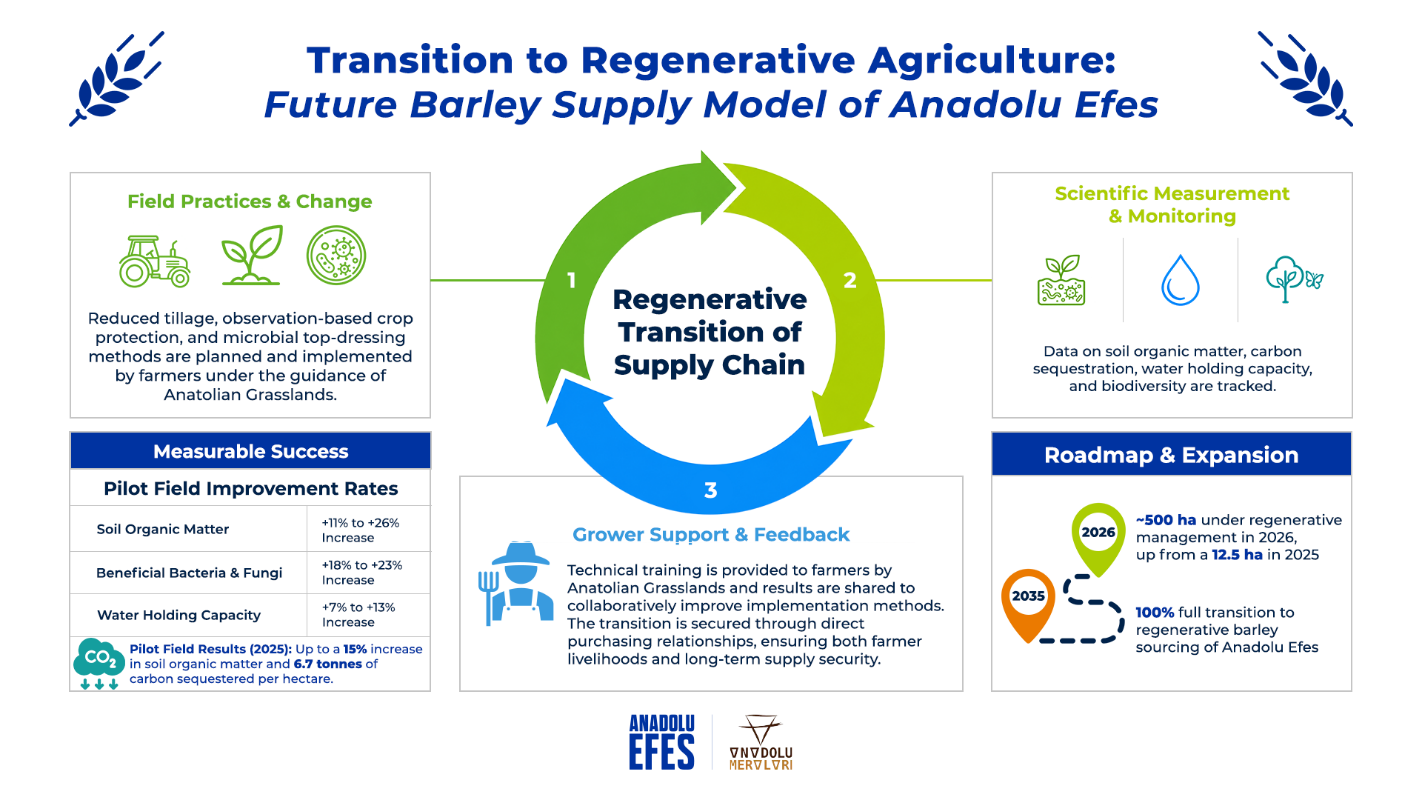 The regenerative transition model