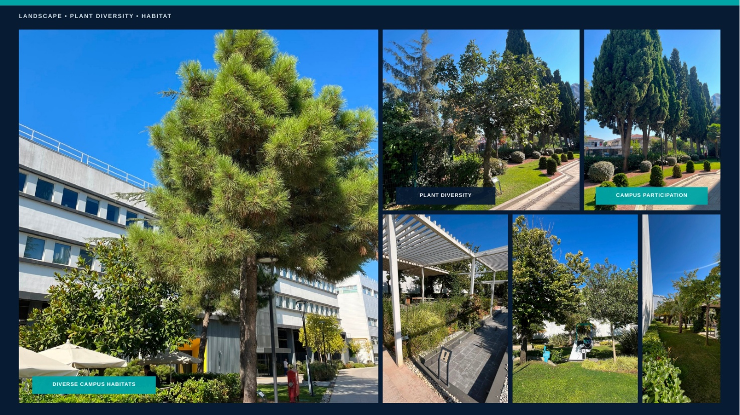 Landscape and plant diversity on the campuses, including mature trees, mixed planting and the shaded outdoor areas used by employees.