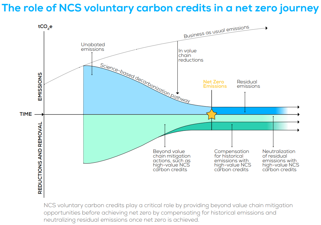 The role of NCS credits in a net zero journey