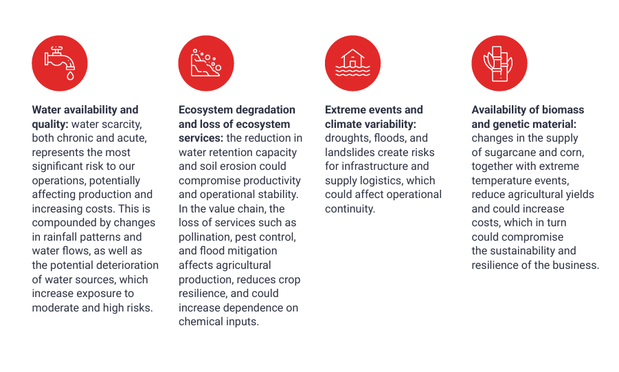 Figure 1: Nature-related physical and transition risks identified through the assessment. Source: Coca-Cola FEMSA 2025 Integrated Report (1).