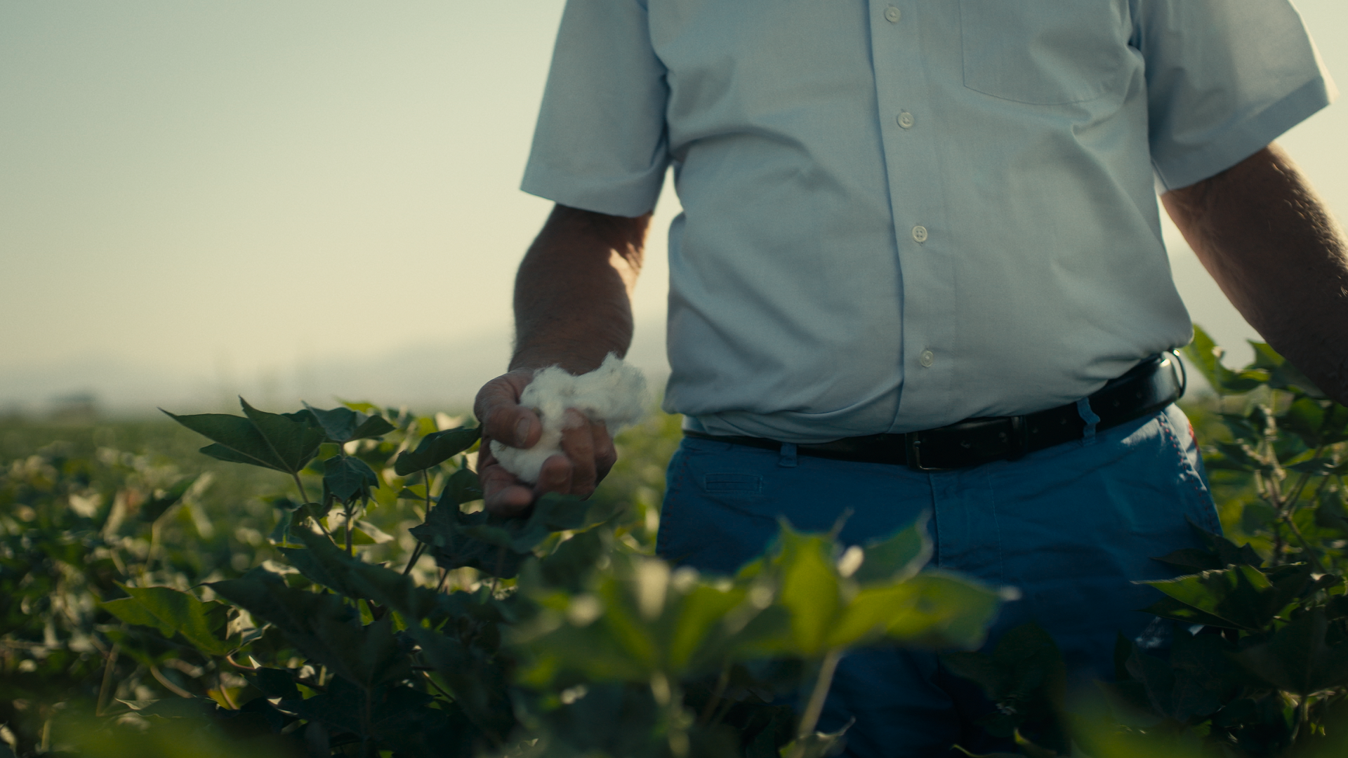 Cotton on supplier farmland converted to drip irrigation, where agricultural water use fell by 50 per cent in 2025