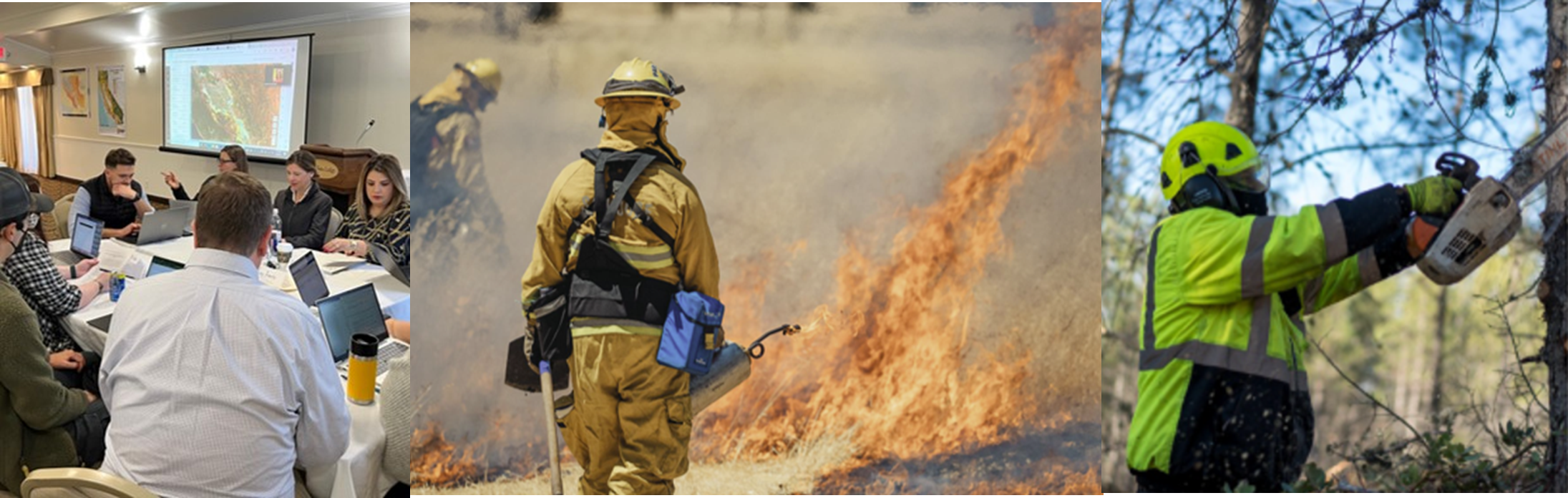 CS113 Inside 2 CS113 Inside 2