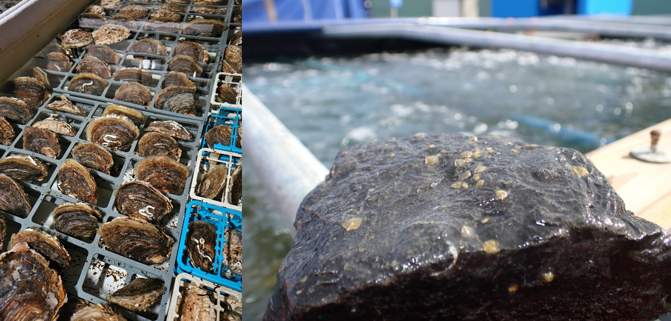 CS112 Inside 2 CS112 Inside 2