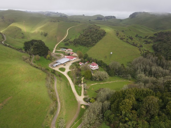 Iwi-Owned Farms