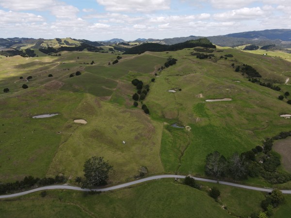 Land for NZ Forestry Investor