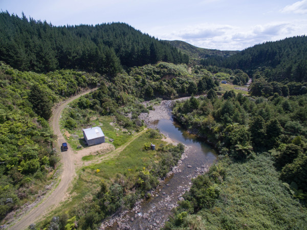 Te Mata Forest