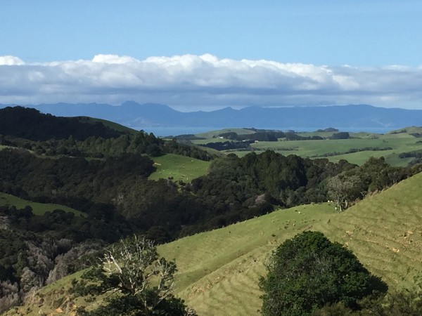 Kawakawa Farm