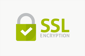 SSL Encryption technology Logo
