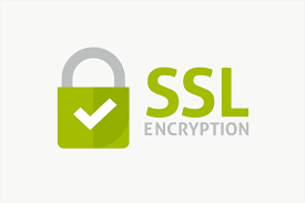 Logo encryption SSL