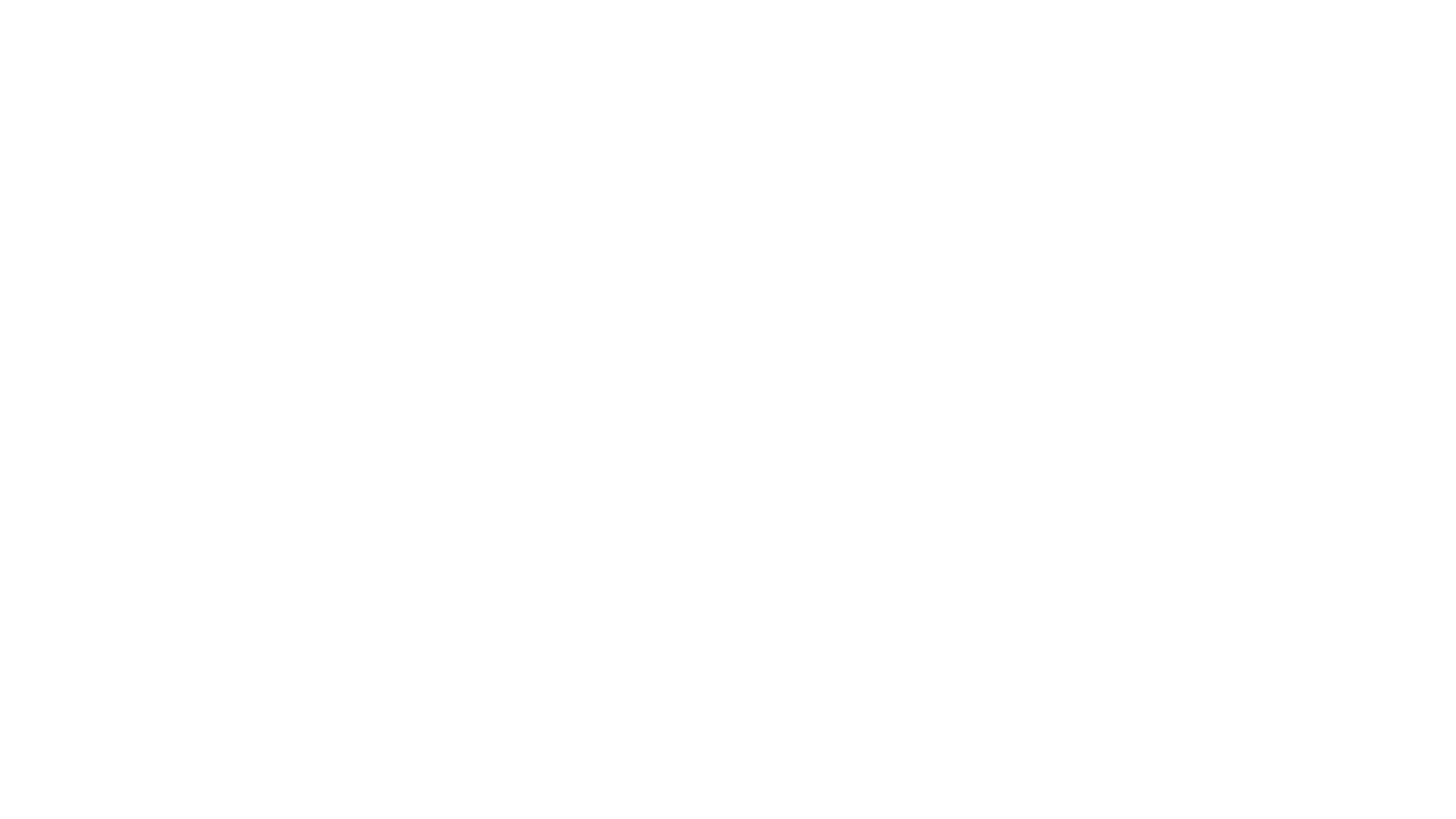Visma Logo