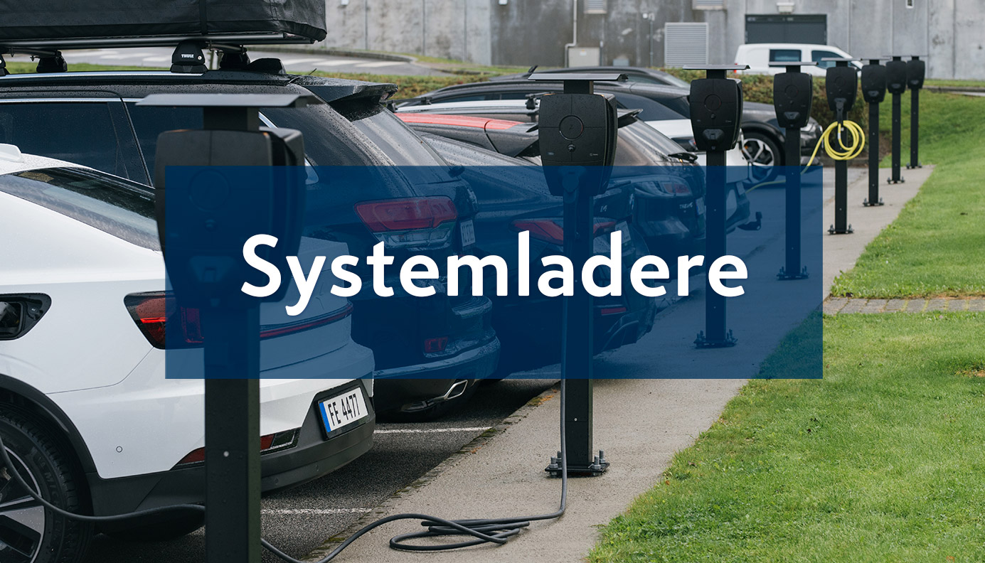 Bilde - Systemladere
