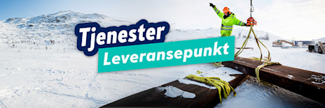 Leveransepunkt