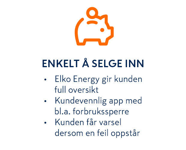 KSPSelgeinn4