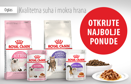 Samo mokra maca