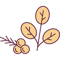 Juniper & Sandalwood