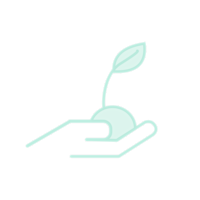Biodegradable Ingredients