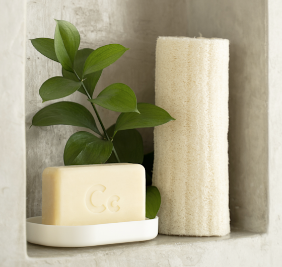 Bar Soap In A Shower