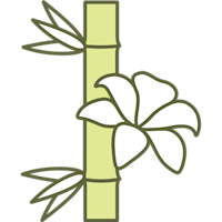 Bamboo Lily