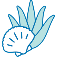 Sea Spray & Aloe