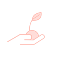 Biodegradable Ingredients