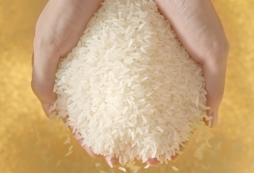 Rice banner