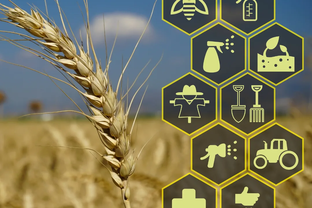 Agriculture Agriculture