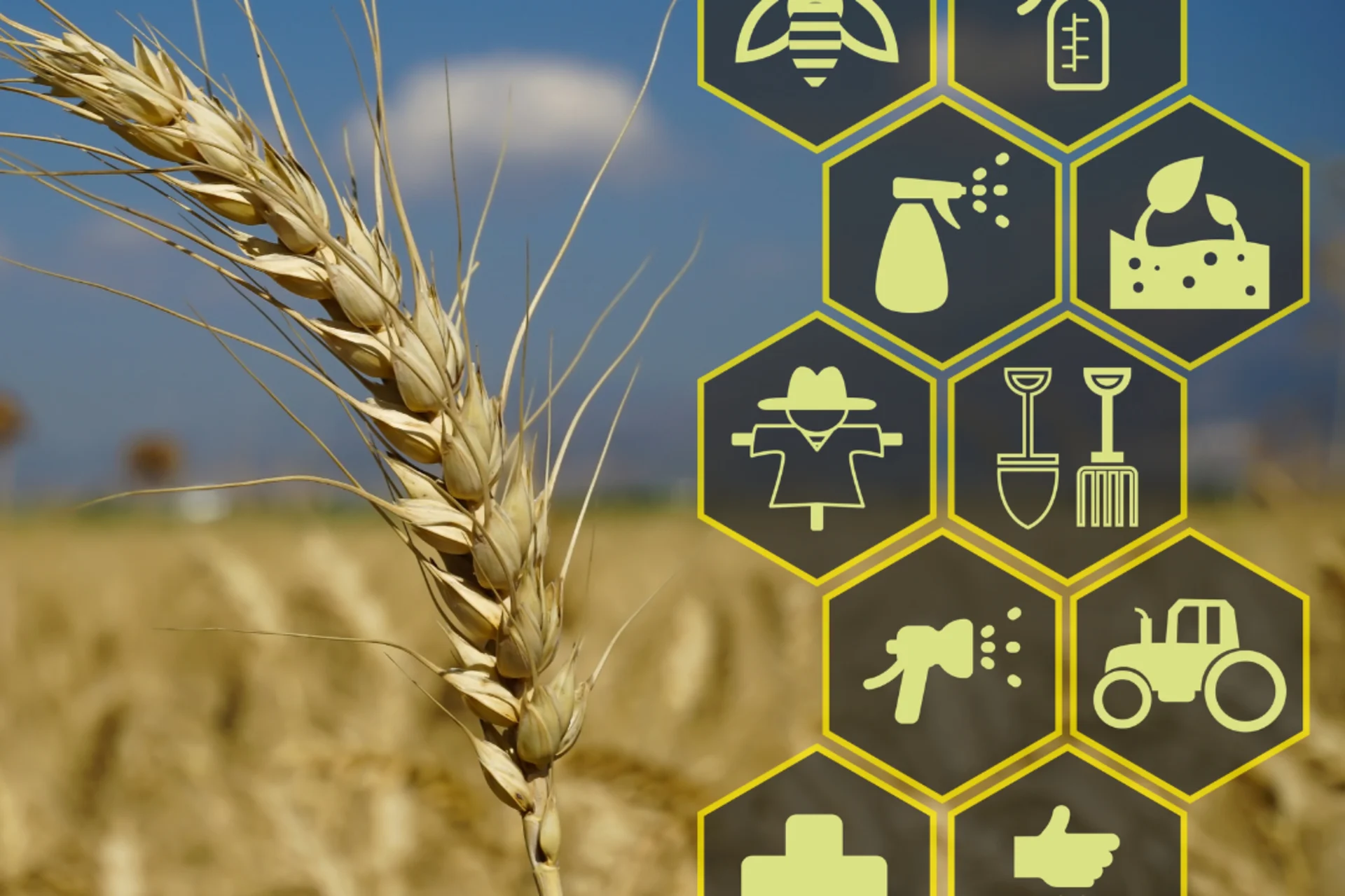 Agriculture Agriculture