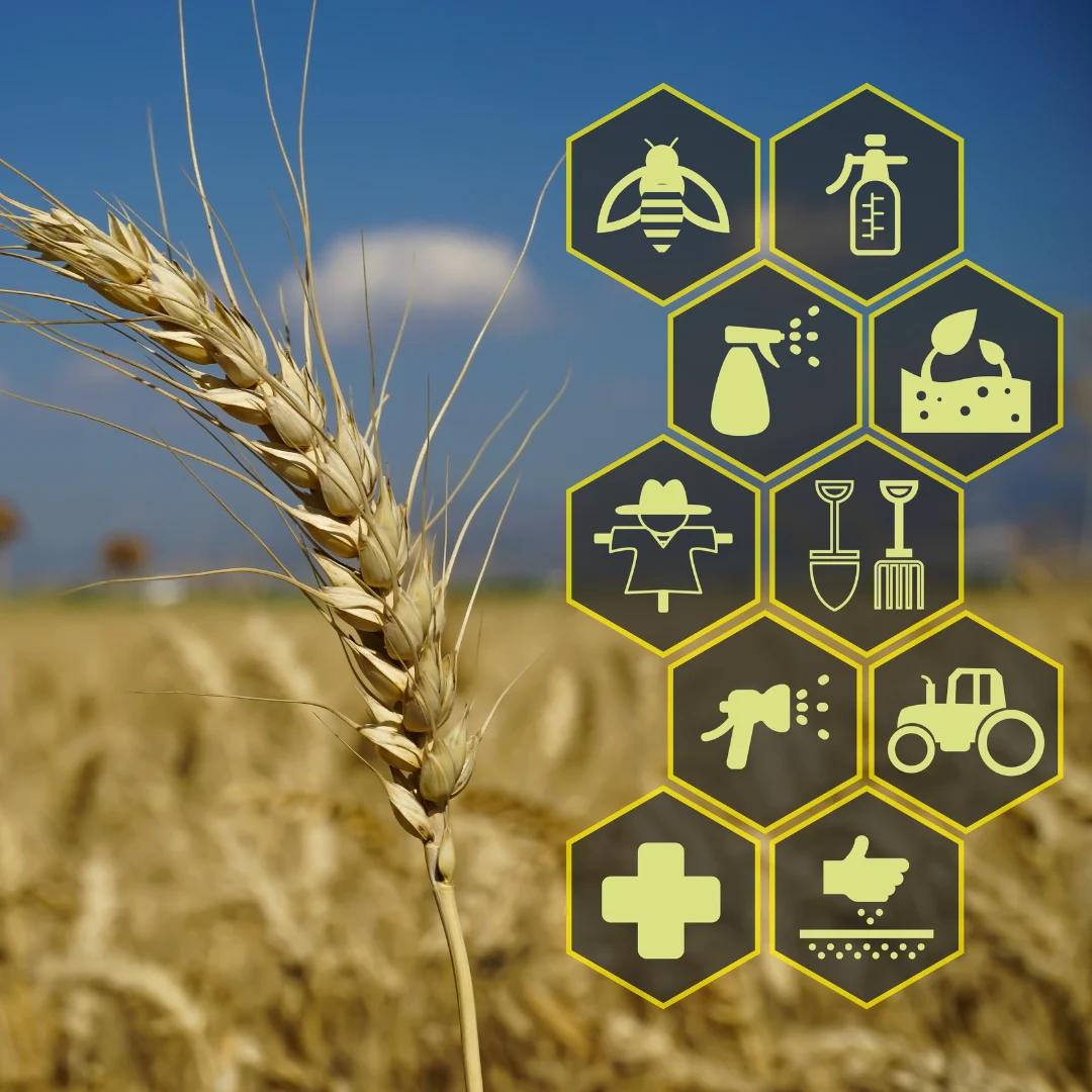 Agriculture Agriculture