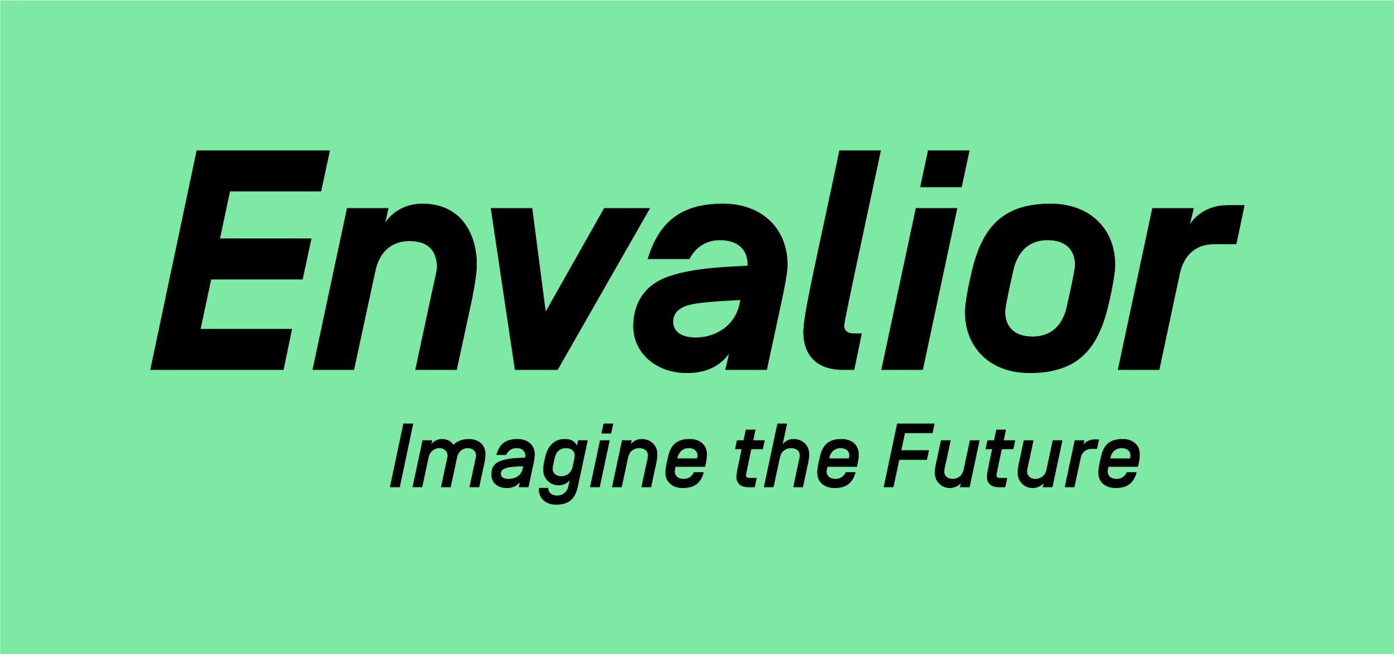 Logo Envalior