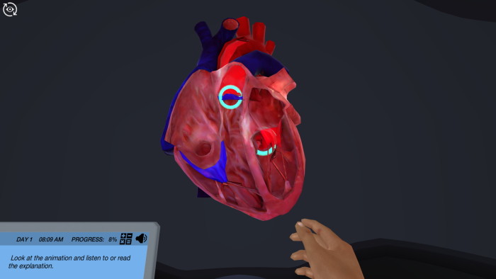 Preview of USA Heart animation simulation.
