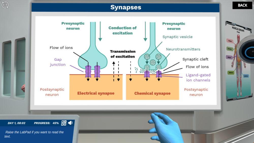 Microanatomy of a Neuron Virtual Lab Simulation | Labster