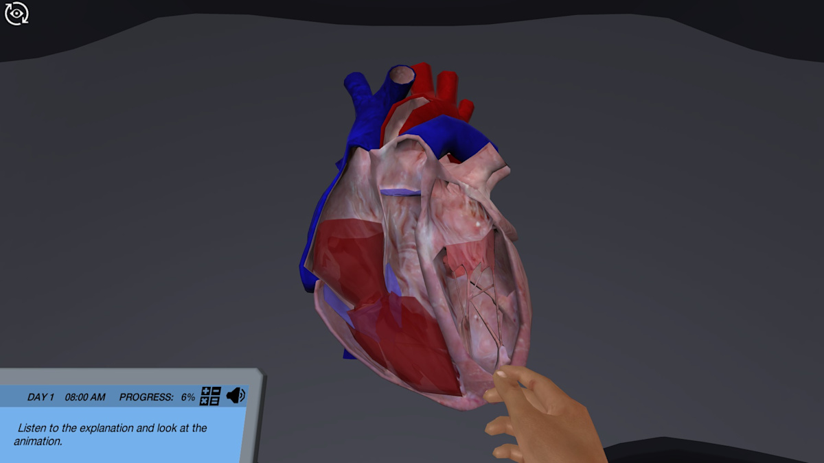 Cardiovascular Function During Exercise: Learn how your body reacts to ...