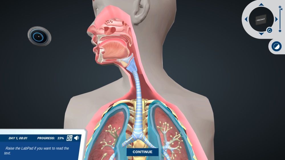The Upper Respiratory System 