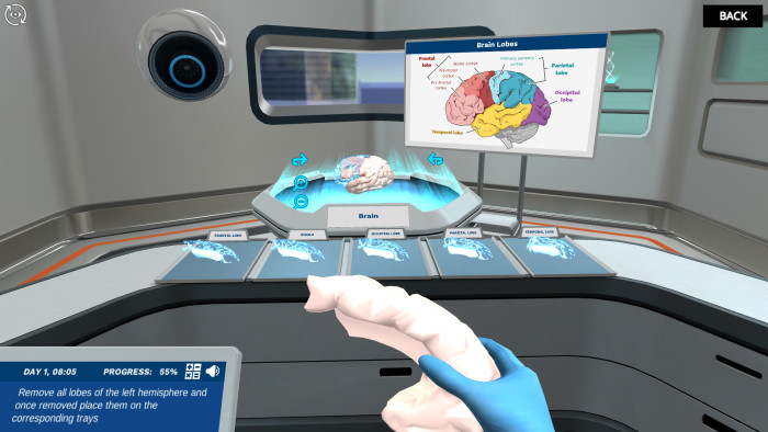 Preview of Brain assembly simulation.