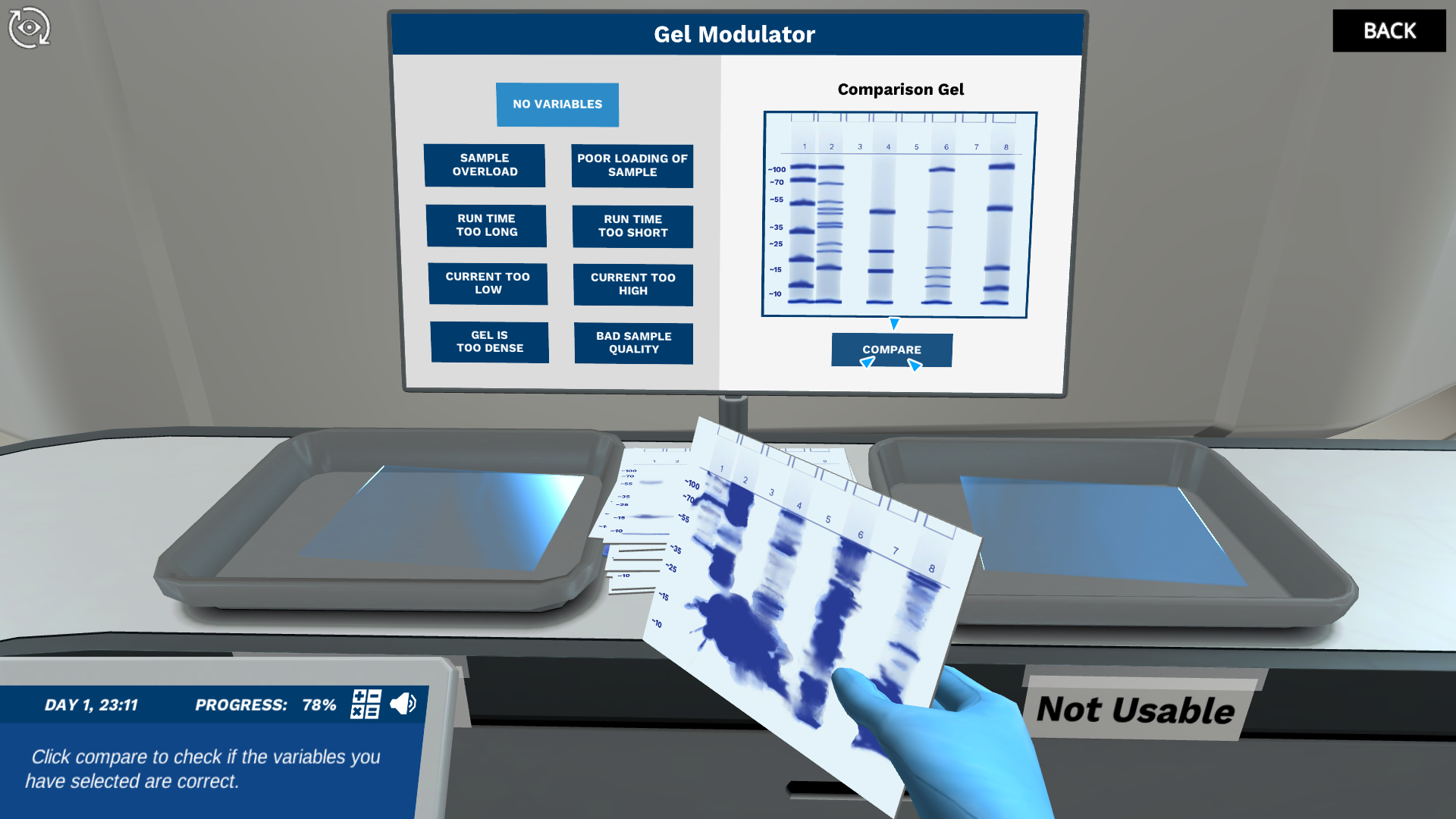 SDS-PAGE Virtual Lab | Gel Electrophoresis | Labster