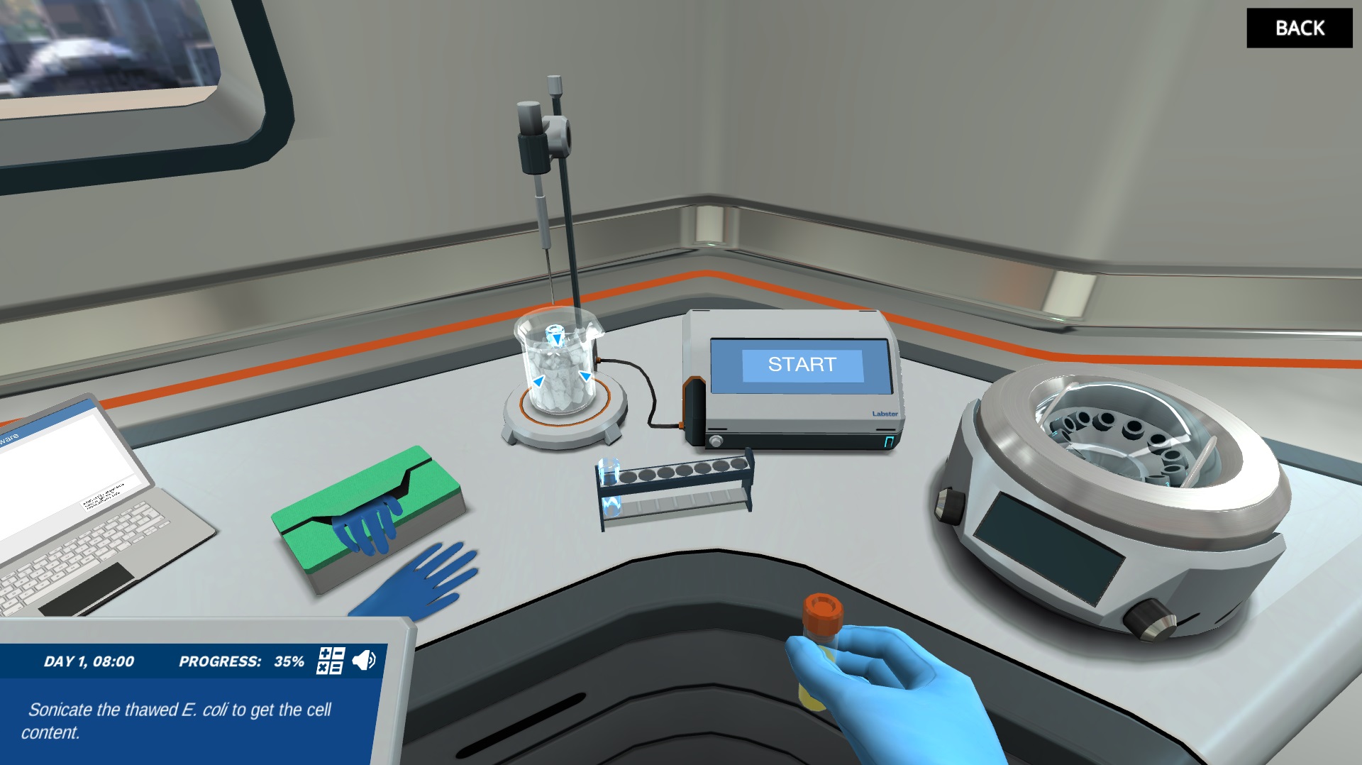 Ion Exchange Chromatography Virtual Lab Labster