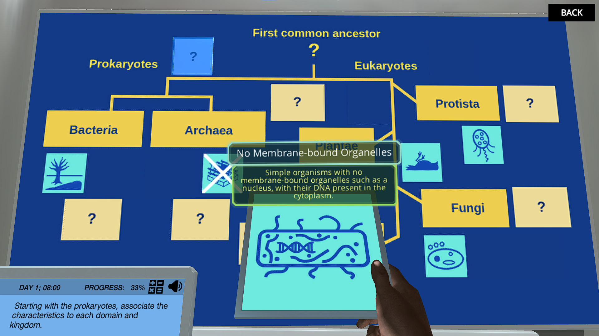 Evolution: Taxonomic Tree Of Life | Labster Virtual Labs