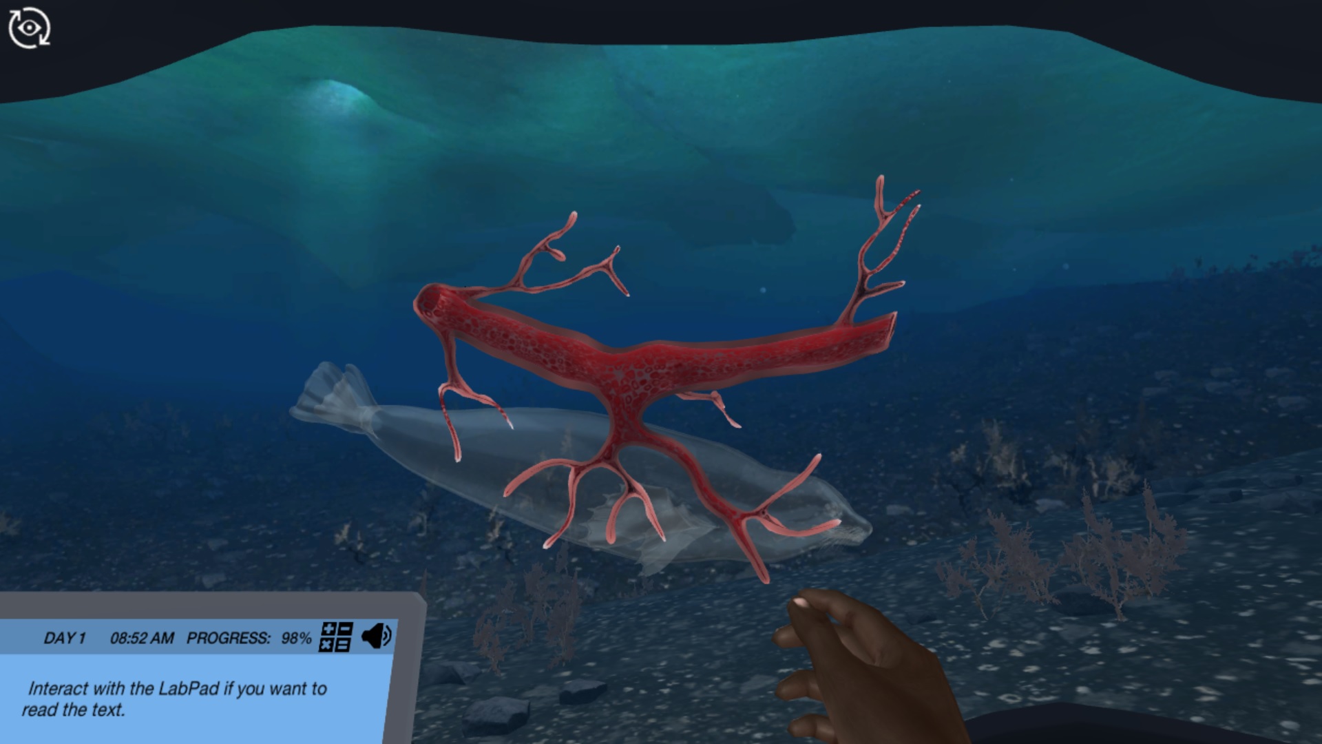 Cardiorespiratory Physiology How can seals dive so deep for so long