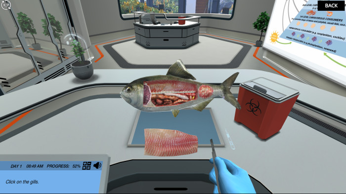 Preview of mbl fish simulation.