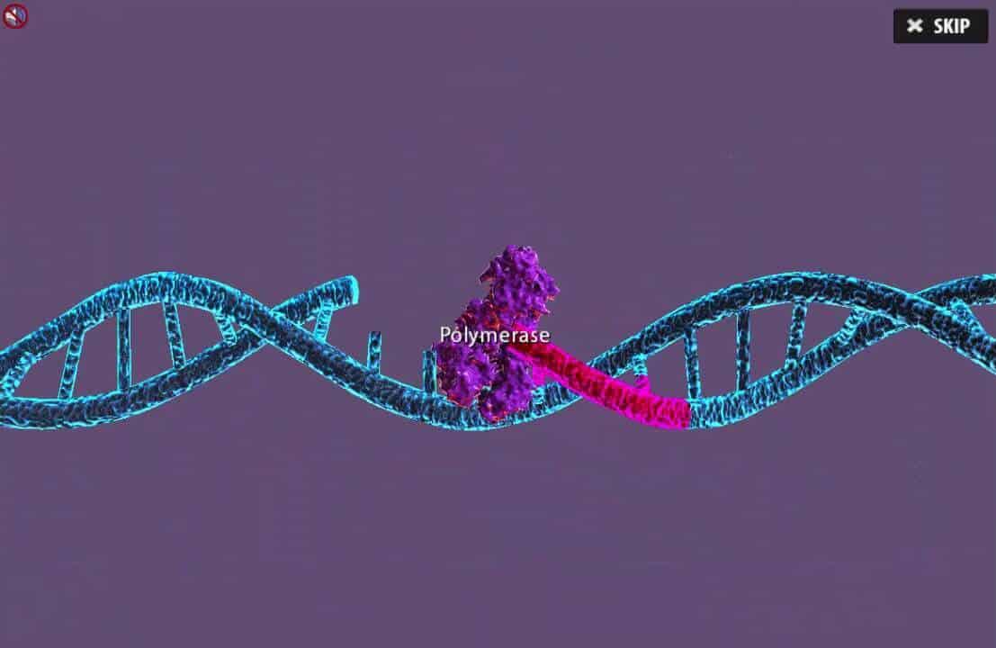 Molecular Cloning Virtual Lab