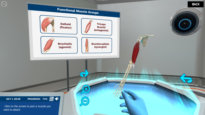 Preview of Functional Muscle Groups simulation.