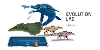 Evolution and Diversity | Virtual Labs